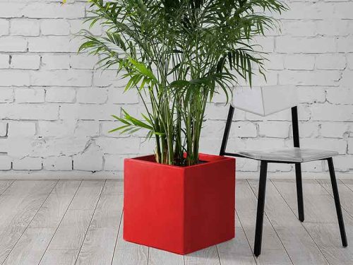 Concrete Planter